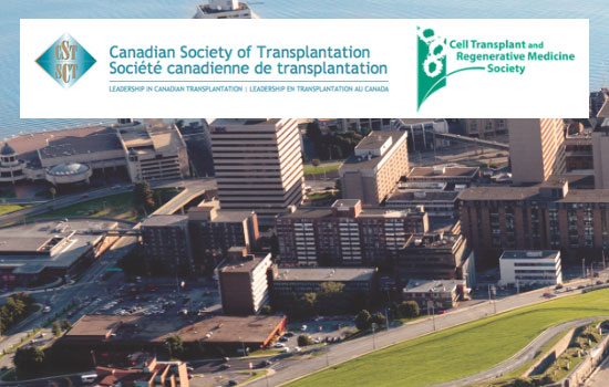 Insert alt text here